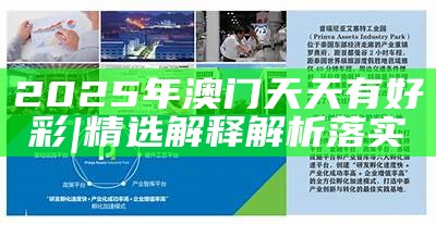 2025澳门今晚必开一肖的精选解析、落实与策略