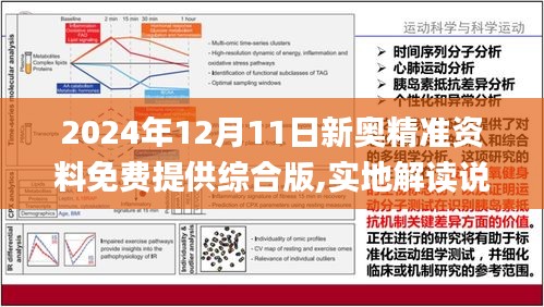 2025新澳最新版精准特的和平释义、解释与落实